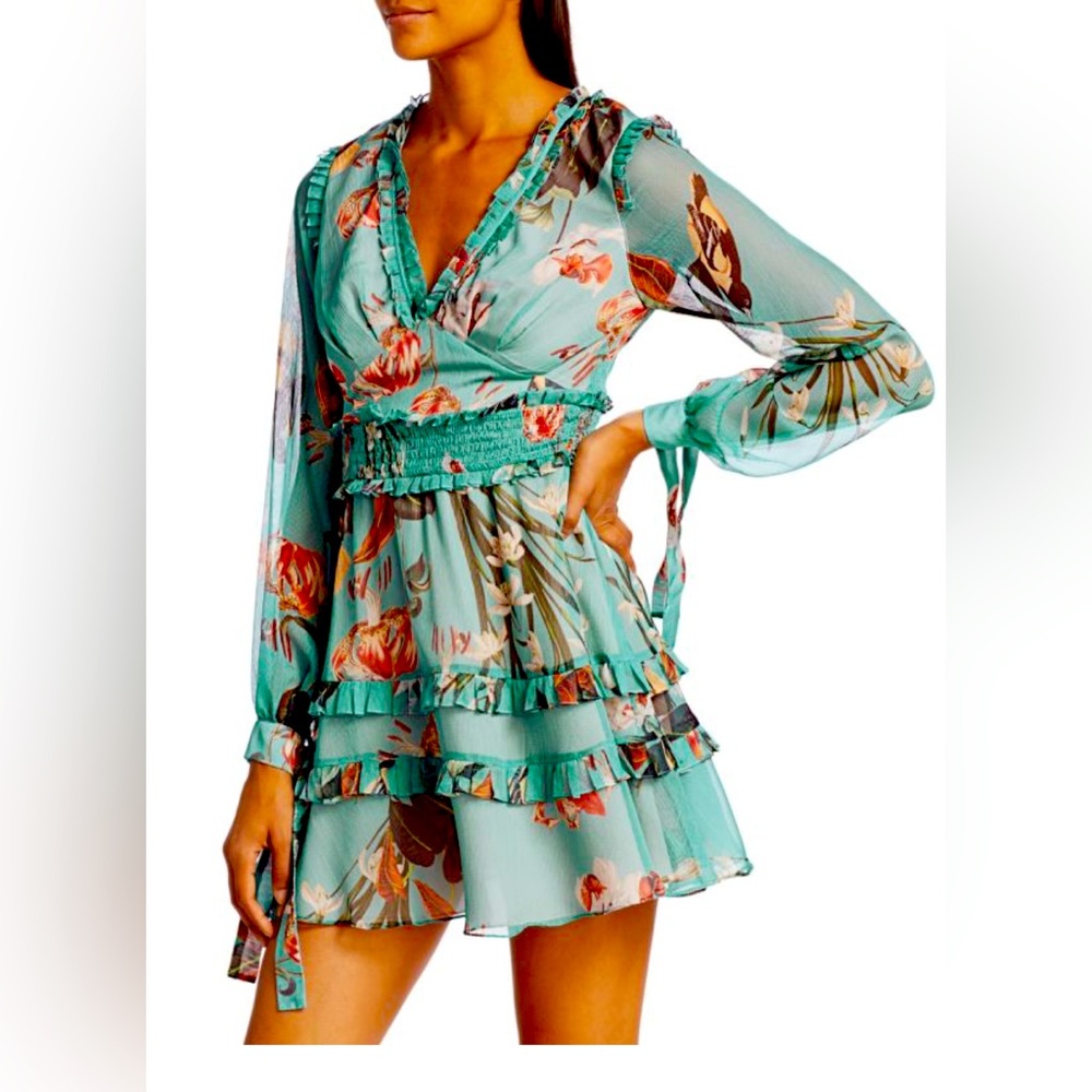 PATBO Carolina Floral Ruffle Mini A-Line Dress 4